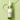 ma:nyo  Herb Green Cleansing Oil 200ml - manyo